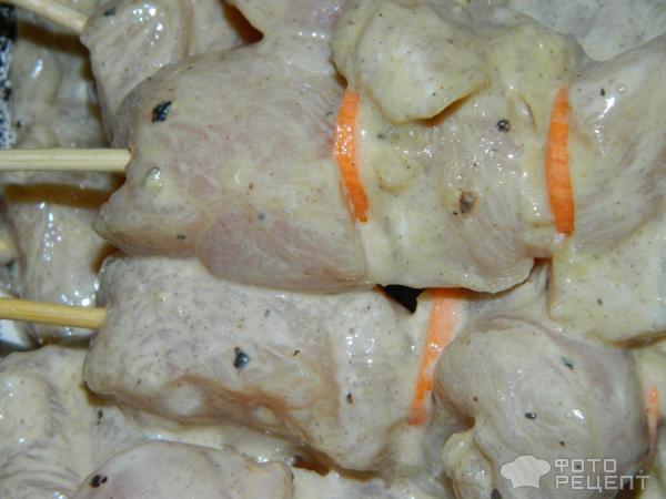 Шашлык из курицы в духовке фото