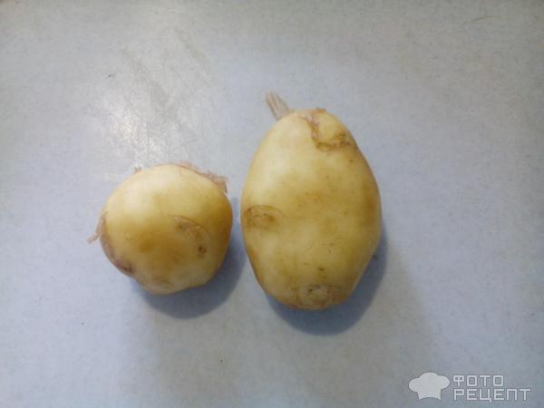 молодой картофель