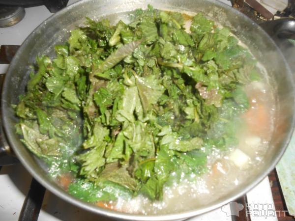 Зеленый суп с крапивой, мангольдом и щавлем фото