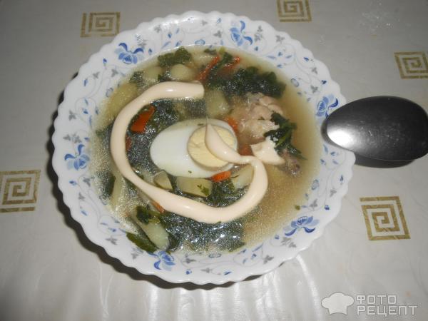 Зеленый суп с крапивой, мангольдом и щавлем фото