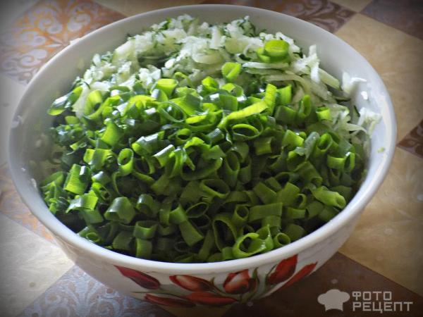 Салат из свежей капусты с огурцами фото