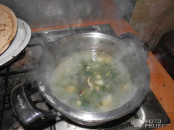 Крем-суп из шиитаке фото