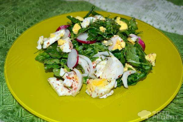 Салат из редиски с яйцом и с зеленью фото
