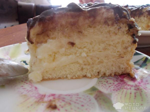 Торт бисквитный Белоснежка фото