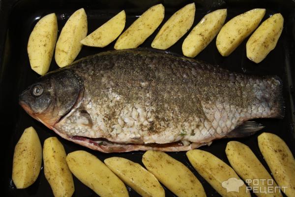буффало рыба рецепт приготовления | Дзен