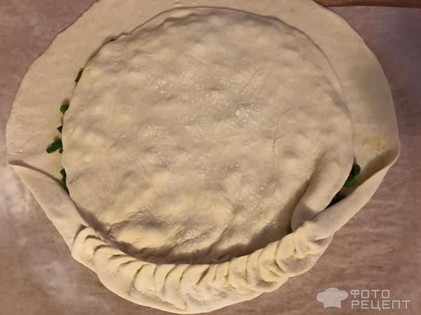Пирог с зеленым луком фото