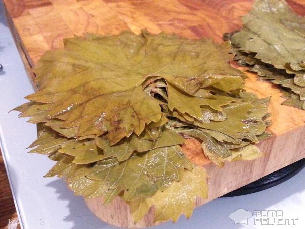 Виноградные листья-заготовки для долмы фото