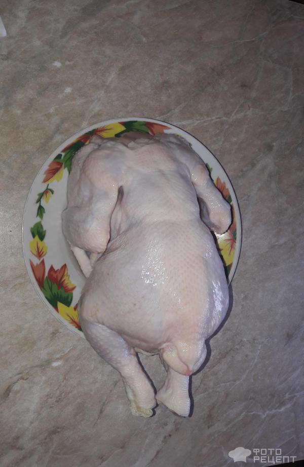 Курица тушенная в мультиварке фото