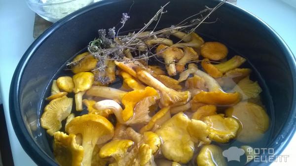 Летний грибной суп - из лисичек с овощами фото