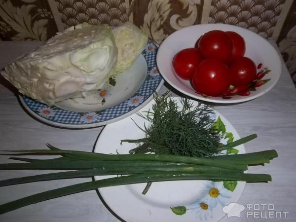 Салат из свежей капусты с помидорами фото