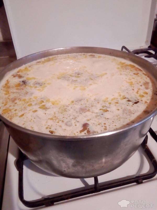 Сырный суп с сыром фото