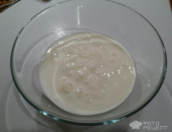 Молочный десерт Теплое мороженое фото
