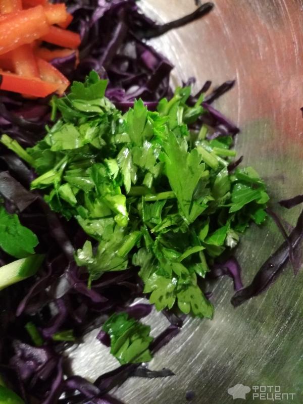 Салат из свежей капусты с овощами фото