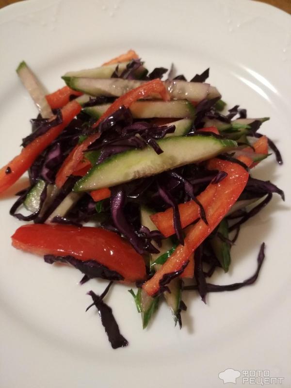 Салат из свежей капусты с овощами фото