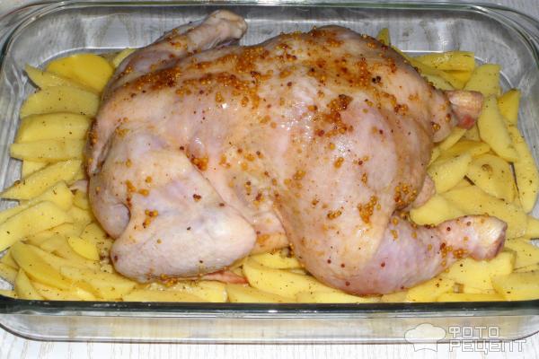Курица в духовке фото