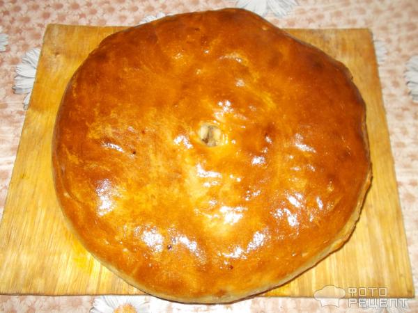 Как приготовить пирог из селедки
