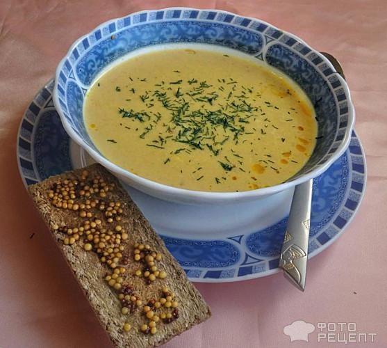 Сырный суп с индюшатиной и сельдереем фото