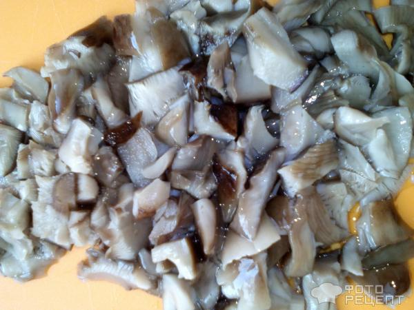 Курица с грибами под картофельной шубой фото