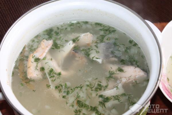 Рыбный суп из горбуши фото