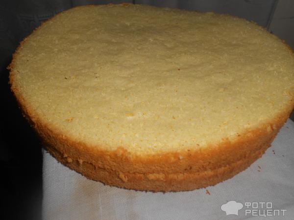 Торт бисквитный со взбитыми сливками Нежность фото