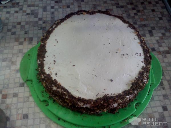Бисквит простой и торт из него фото