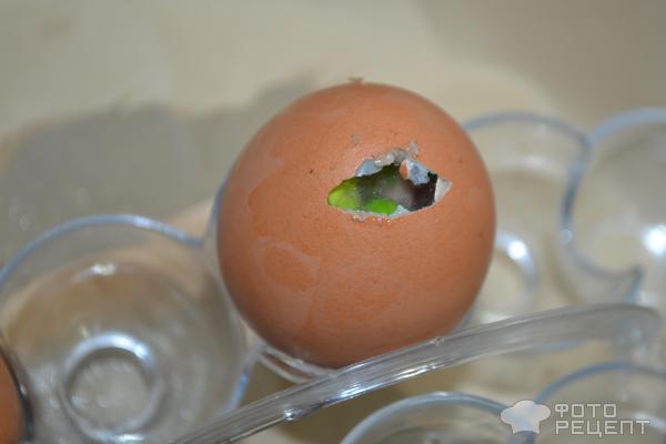 Заливный яйца фото