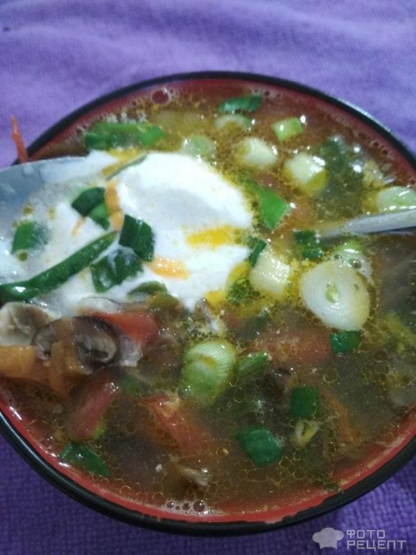 Суп из домашней рыбной консервы фото