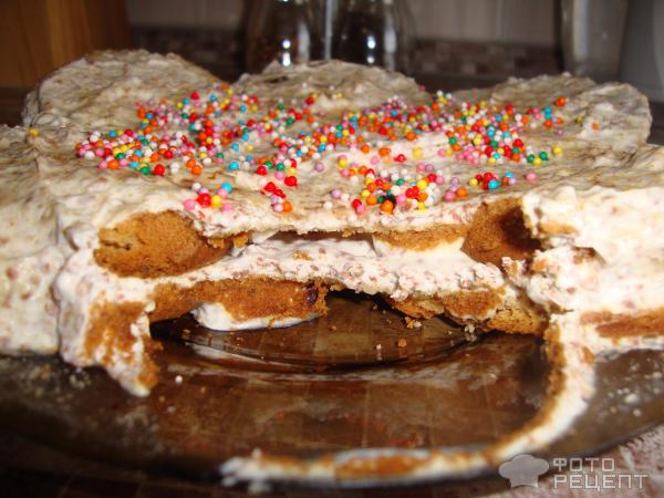 Торт из овсяных печений фото