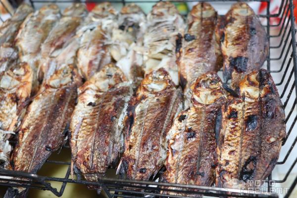 Рыба на электрогриле: 10 простых рецептов с фото | Timberk