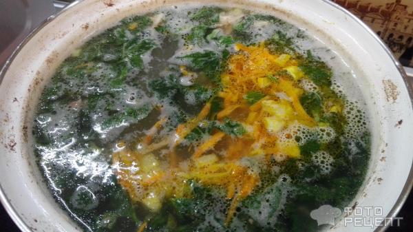 Суп из крапивы с рисом фото