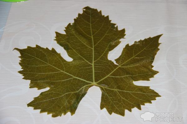Выкладываем маринованный виноградный лист