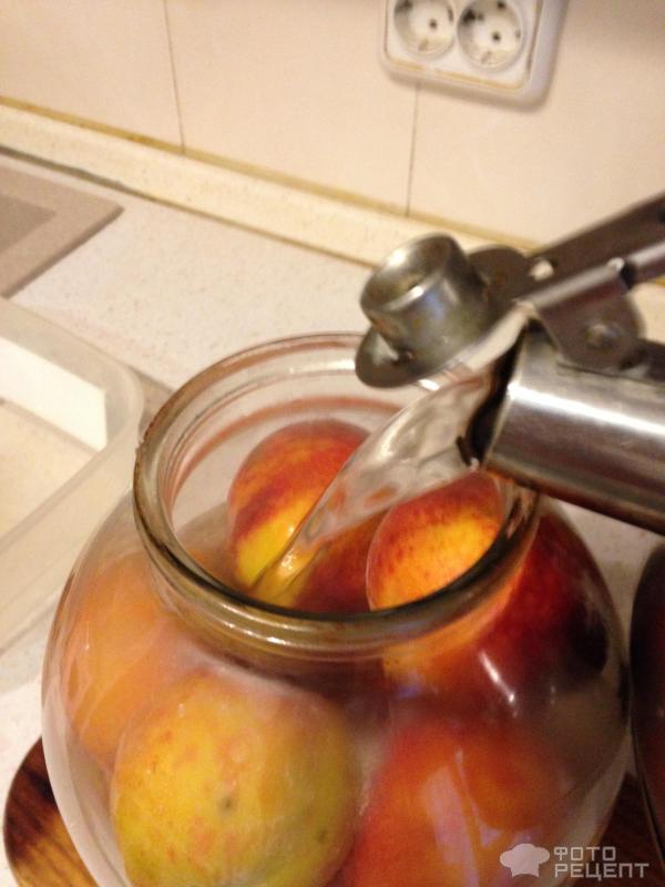 Персики — рецептов с фото. Что приготовить из персиков?