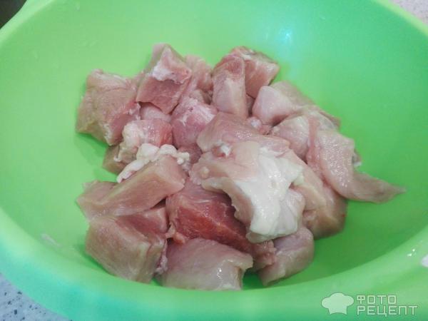 Шашлык из свинины в духовке фото