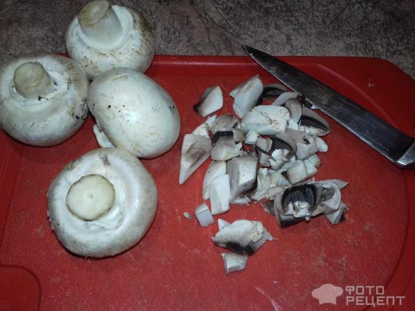 Мясо фаршированное грибами фото