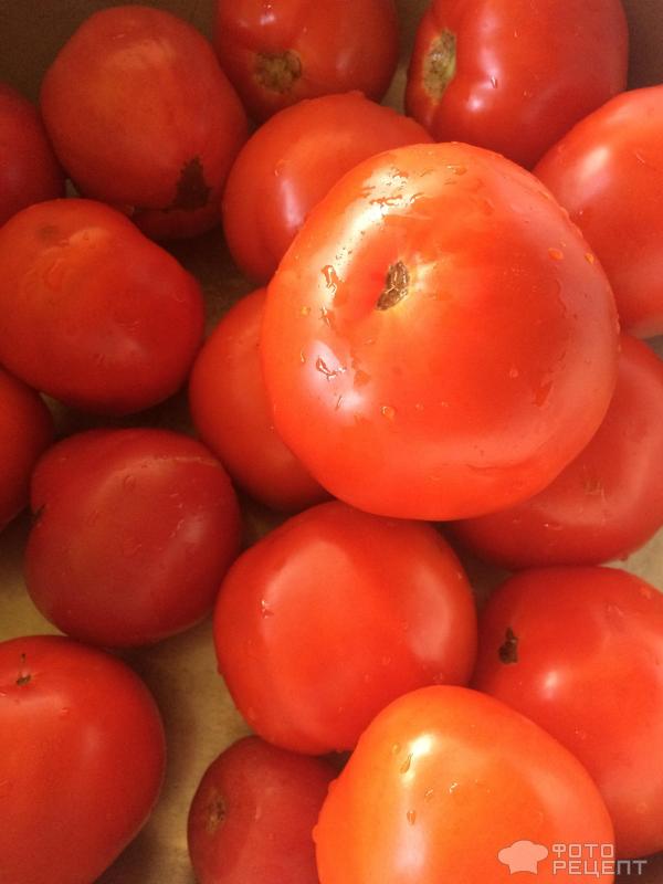 Лечо в томатах фото