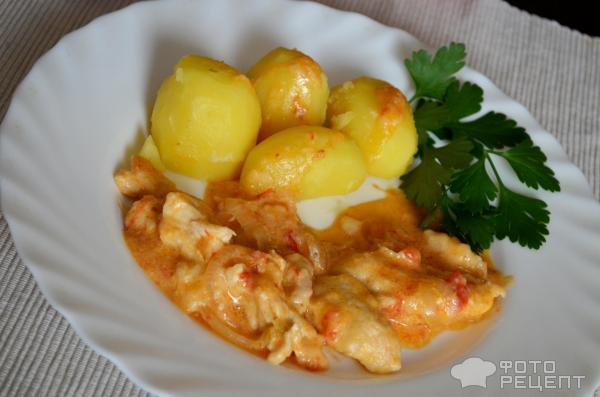 Бефстроганов из куриной грудки фото