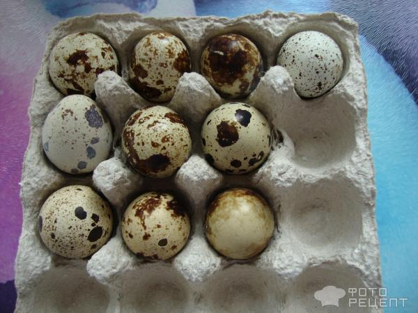 домашний майонез на перепелиных яйцах без горчицы рецепт | Дзен