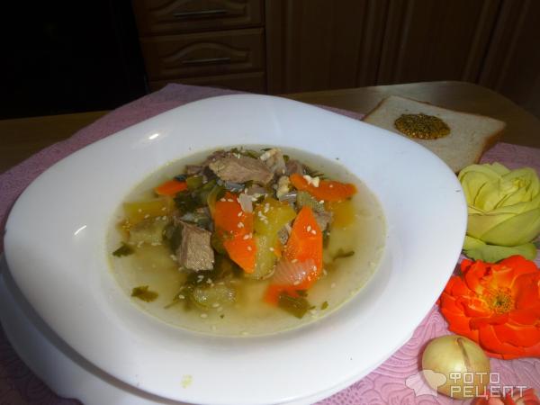 Зеленый суп с говядиной фото