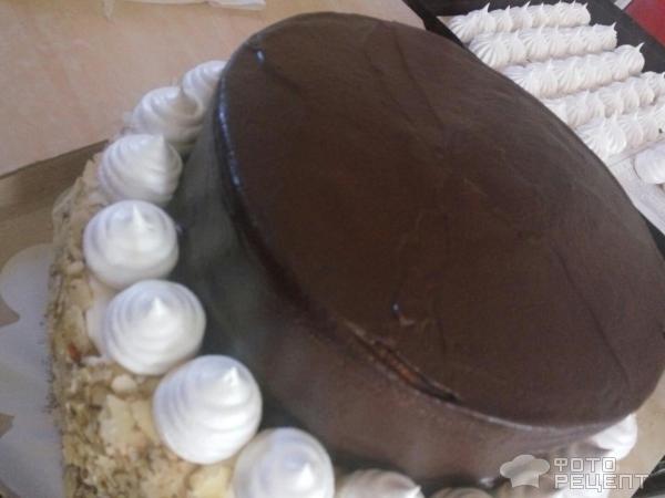 Торт фруктовый Клубника в шоколаде фото