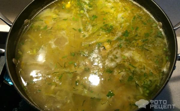 Суп с капустой на курином бульоне фото