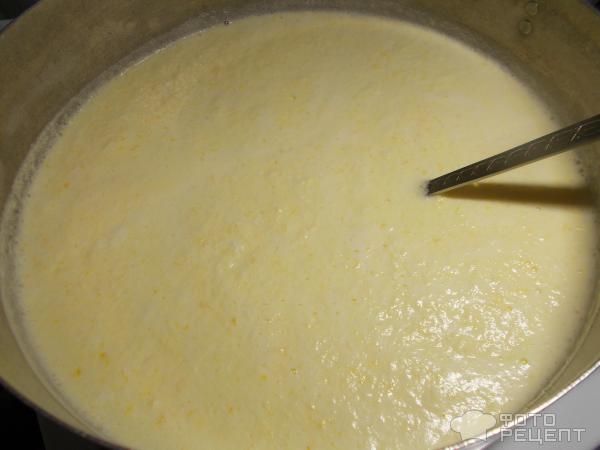 Сыр домашний с зеленью из молока и кефира фото