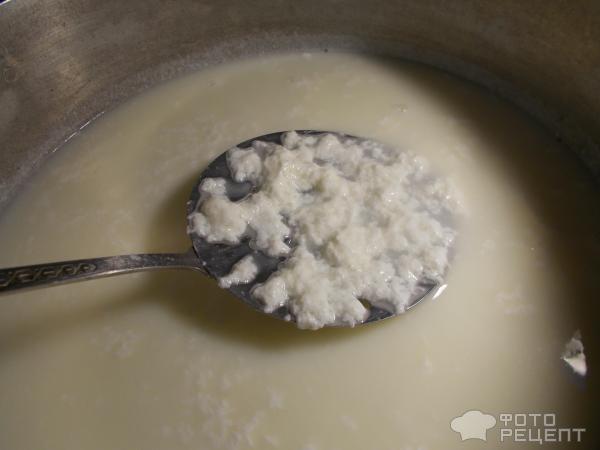 Сыр домашний с зеленью из молока и кефира фото