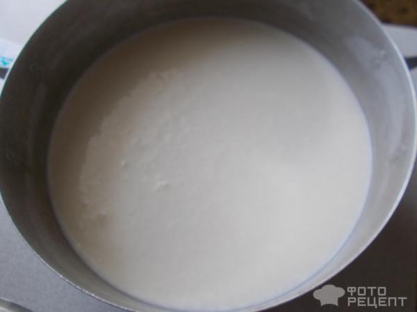 Сыр домашний с зеленью из молока и кефира фото