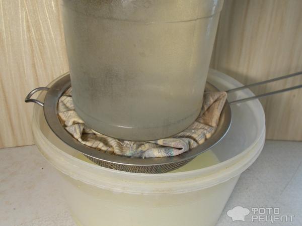 Сыр домашний с зеленью из молока и кефира фото