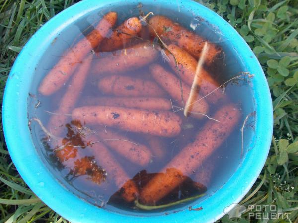 Как хранить морковь зимой в домашних условиях