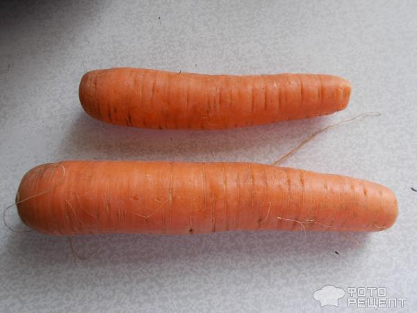 Хранение моркови фото