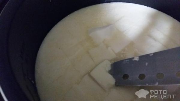 Сыр моцарелла на закваске БакЗдрав фото