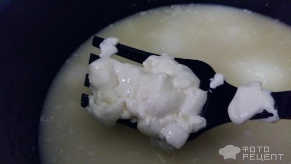 Сыр моцарелла на закваске БакЗдрав фото