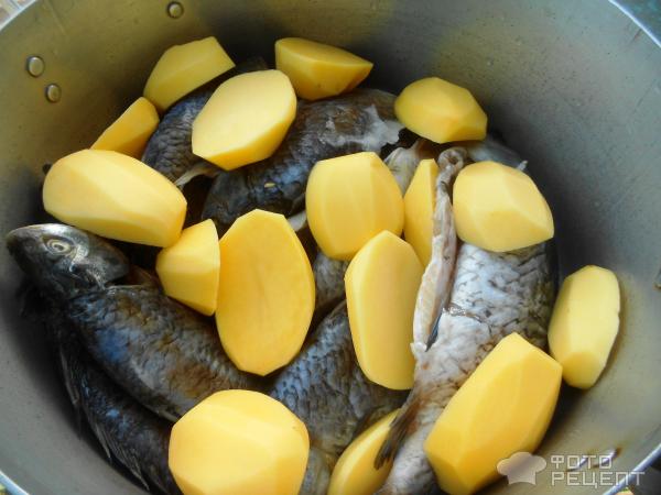 Рыба карась с картофелем фото