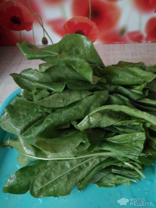 Тушеные кабачки фото